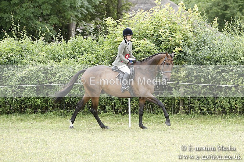BVR160717-2329 - Working Hunter Championship 16/07/17