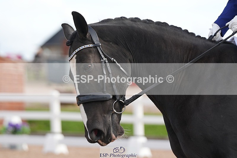 250906-105728-01361 - 062-Lauren.CoxPurely.Pandora