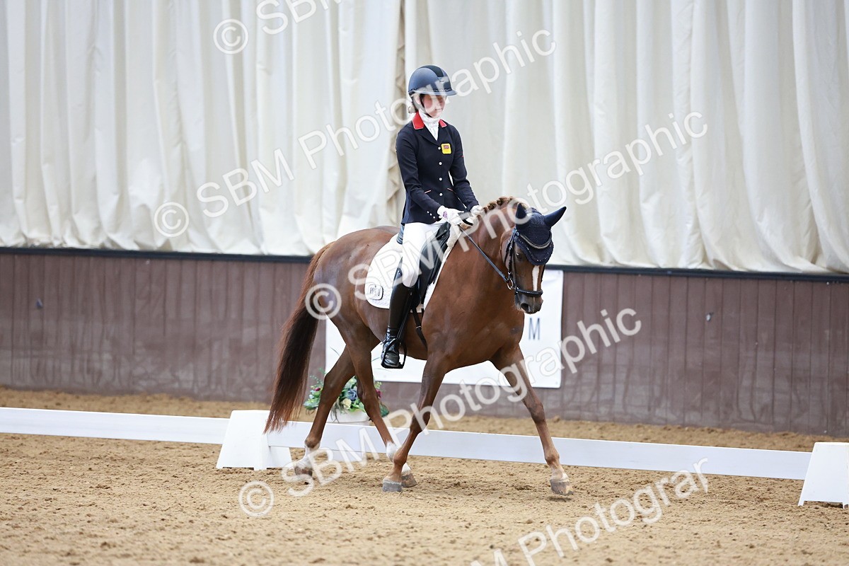 SBM_017184 - Class15 - FEI Pony