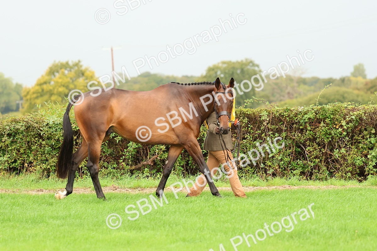 SBM_32899 - S8 - Best Turned Out