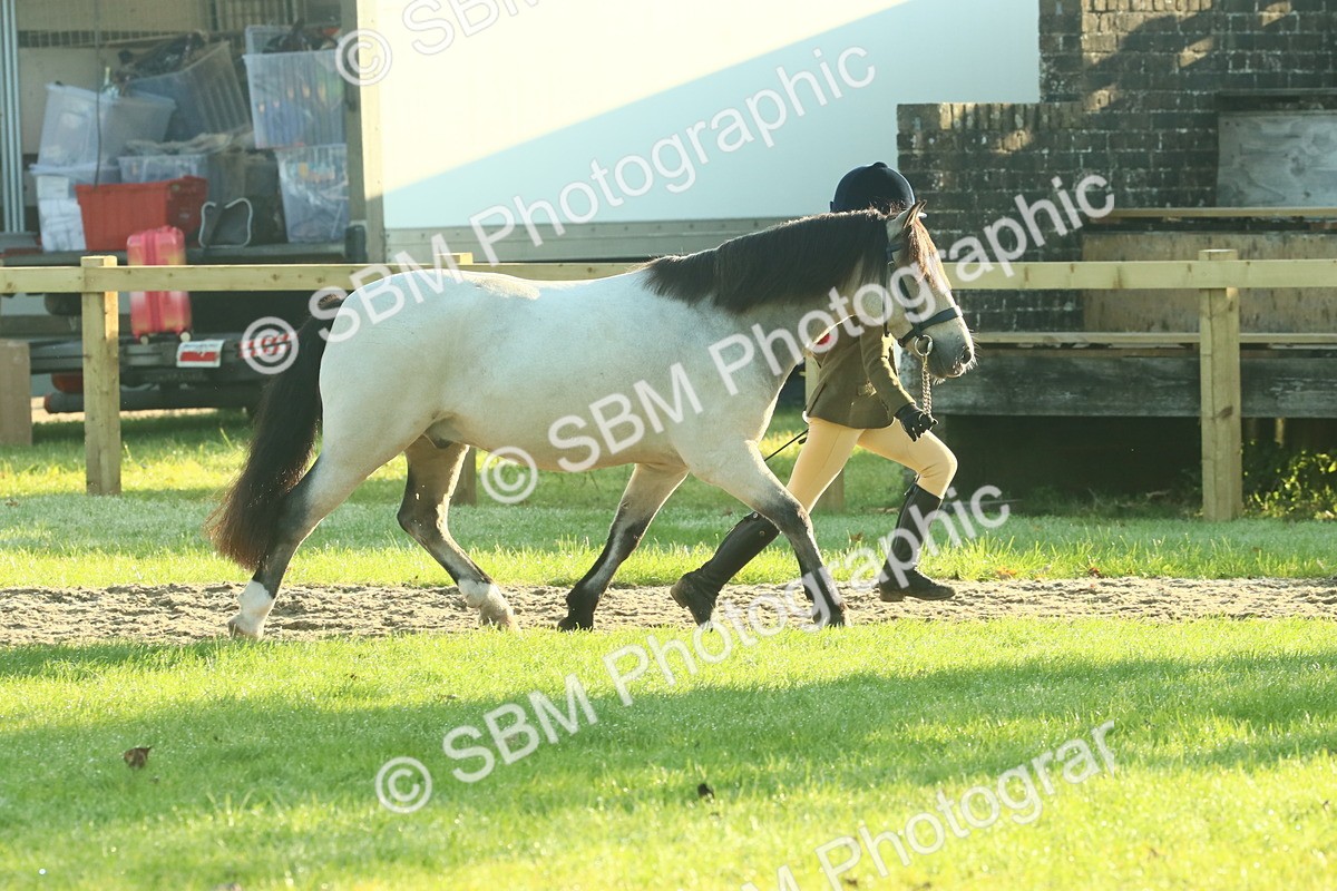 SBM_57383 - S37 - Starters In Hand Showing