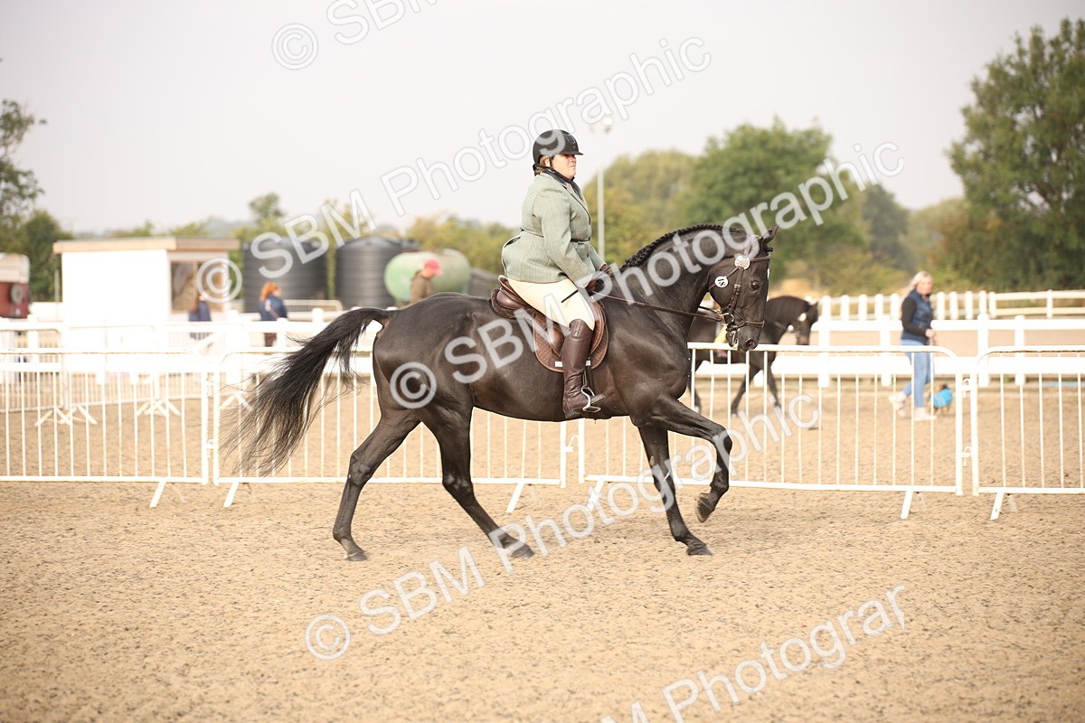 SBM_10211 - Class 402 Riding Club Horse