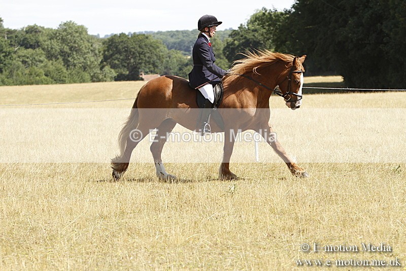 _BS_0743 - BVRC Show 2018 Ring 1