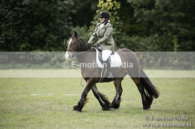 BVR080918 106 - BVRC Novice Dressage & CR 08/09/18