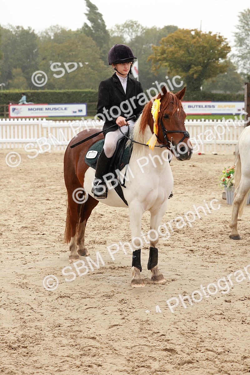SBM_72309 - J14 - Junior Pony 65cm Championship