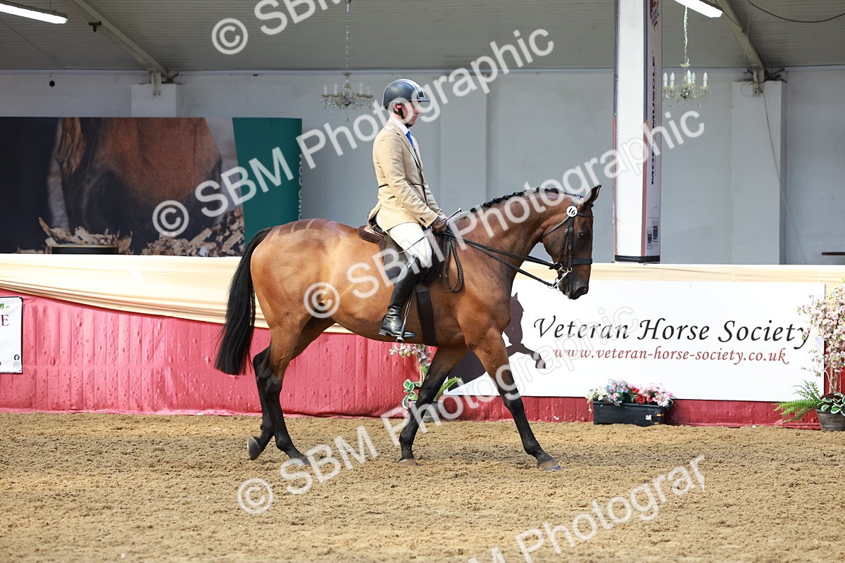 SBM_14929 - Class 108 - Ridden Retired Racehorse