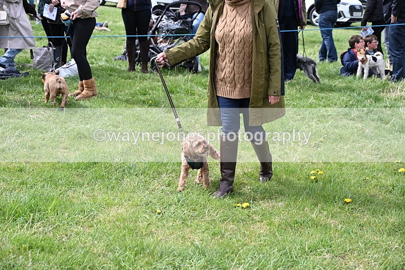 WJ6_8314 - Class 4 Prettiest Bitch