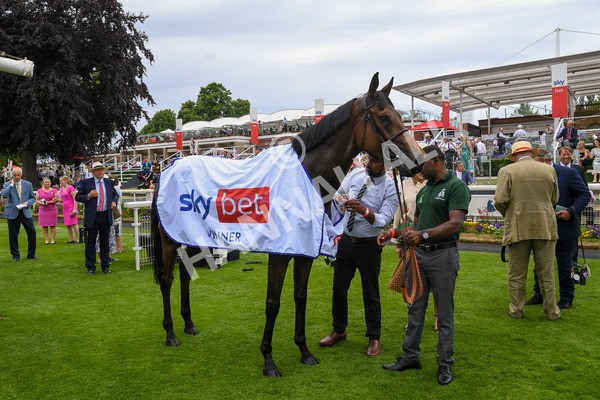 170623-Race 3-Quickthorn-0377 - Race 3 3.05pm Sky Bet Race To The Ebor Grand Cup Stakes