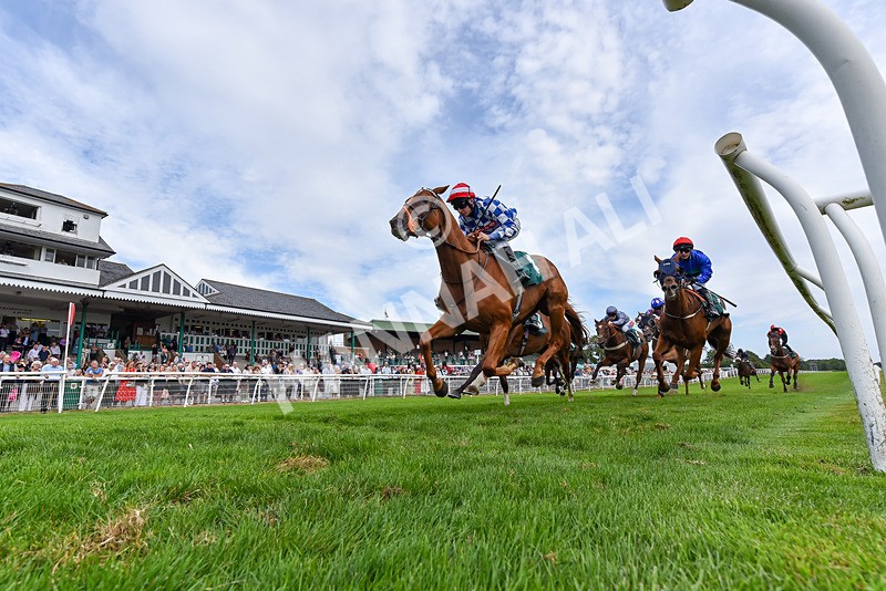 260826-Race 4-Niffler-6404 - Race 4 15:45 Hats Of Yorkshire Handicap