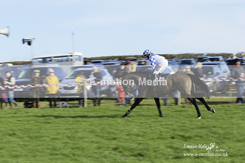PtP 300122 164 - South Dorset Hunt - Point-to-Point Races 30/01/2022