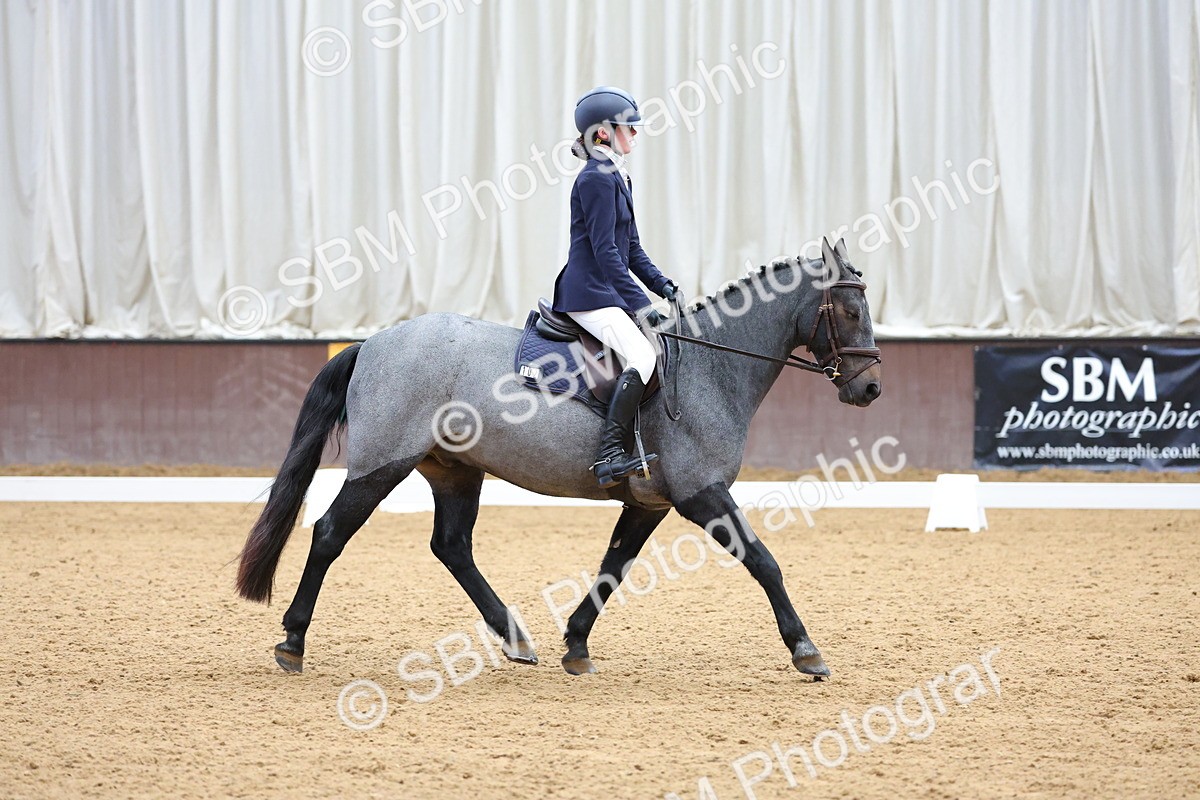 SBM_002579 - Novice