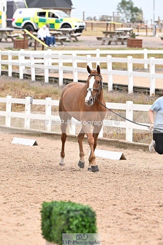 250716-144811-01407 - Trot Up 2.30 to 3.30