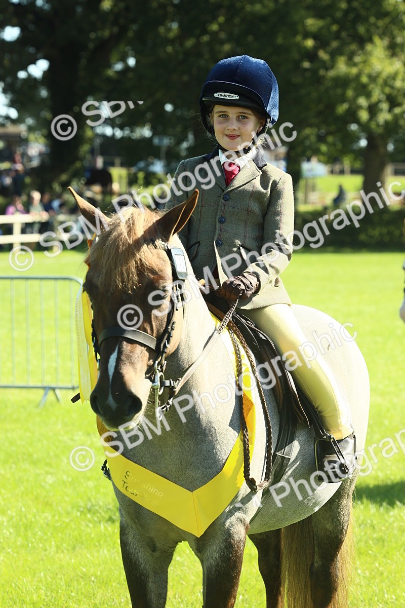 SBM_39077 - S29 - Novice & Newcomers Working Hunter Pony