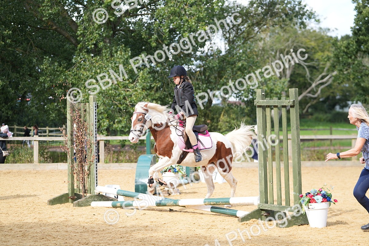 SBM_64411 - J2 - Mini Tour Junior Pony 30cm Championship
