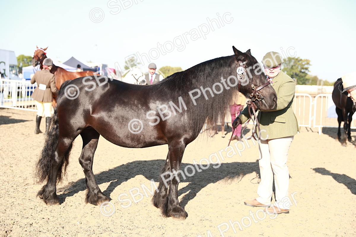 SBM_00078 - Class 40 Best Turned Out IH