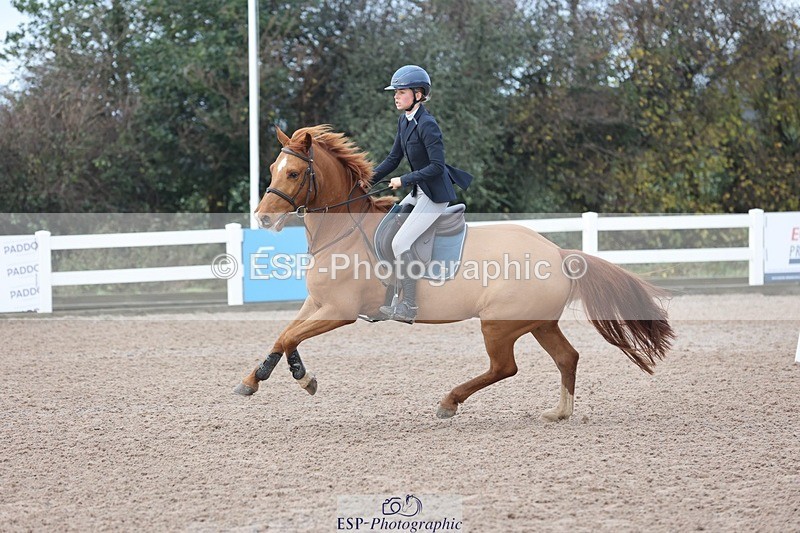 241201X-105211-00559 - Cls 04 Disc & 90 Open