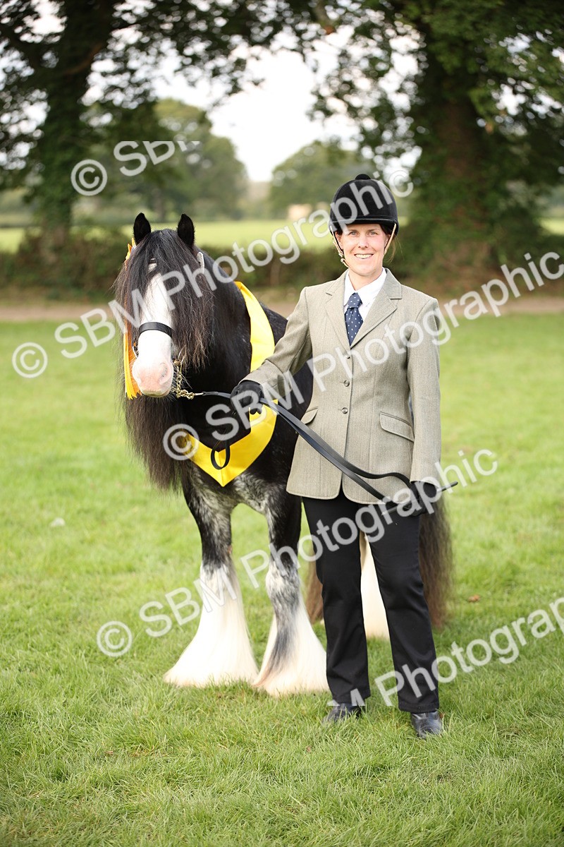 SBM_62311 - S55 - Traditional Cob In Hand