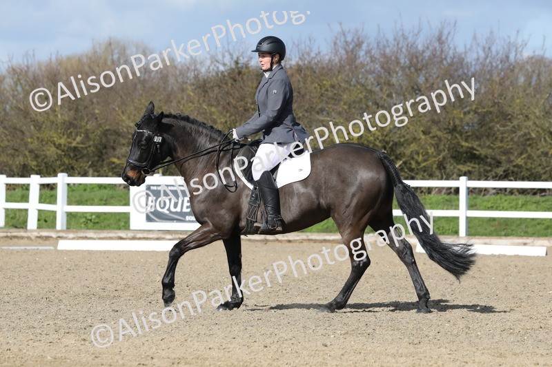 20260314-4866 - CT6 - Elementary 1