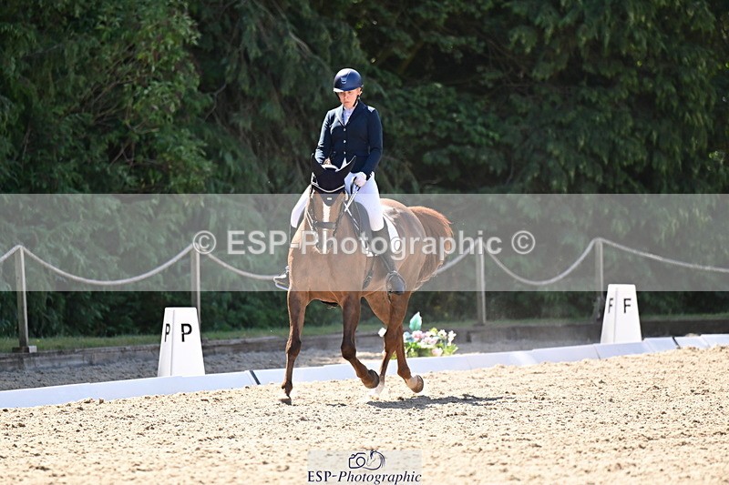 260731A-112338-00332 - Elementary Bronze 10.30 - Break