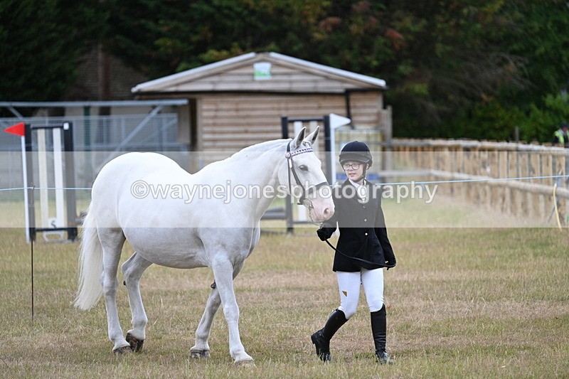 WJ7_9064 - Class 4a Prettiest Mare 14.2hh and over