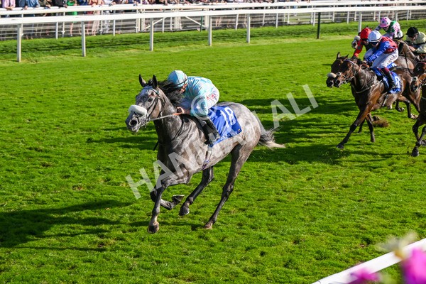 111025-Race 4-Binhareer-8840 - Race 4 Coral Sprint Trophy Handicap at York