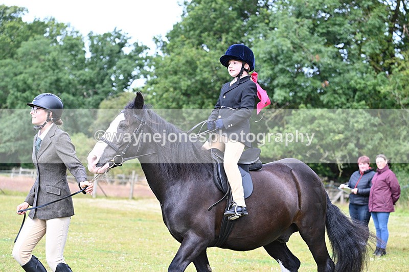 WJ7_4612 - Class 1 Lead Rein Pony