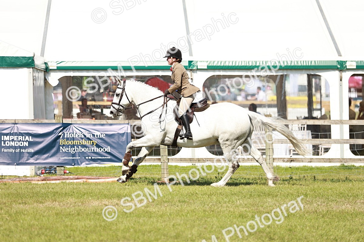SBM_18535 - Class 112-113 - BSPS LIHS Working Sports Pony