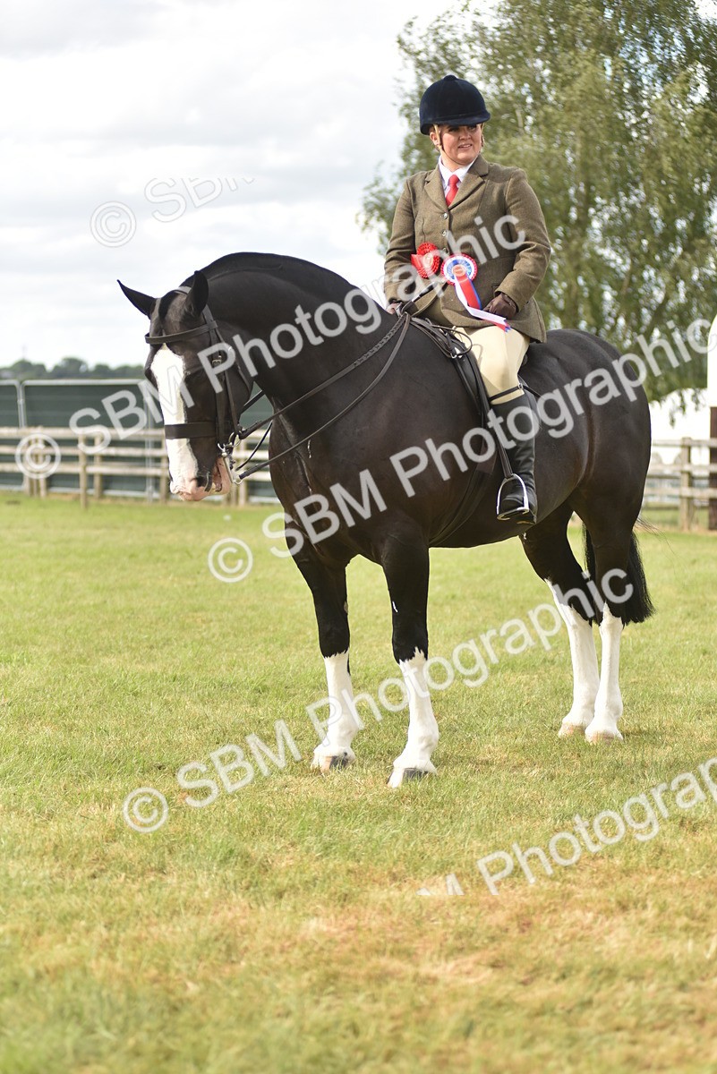 SBM_18264 - Class 122-123 - LIHS BHSA Raising Star Style and Performance Series