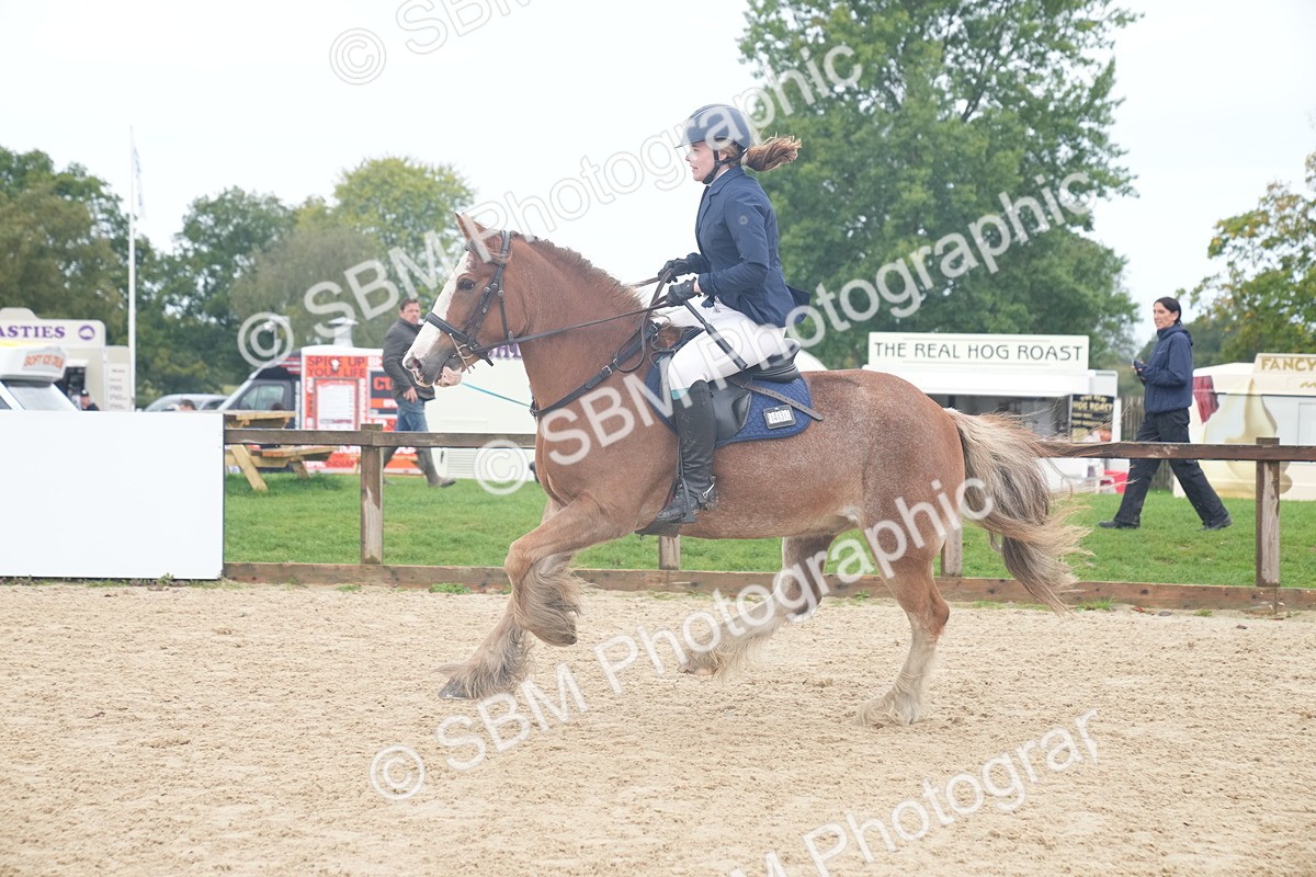 SBM_01846 - J54 - Clear Round 50cm