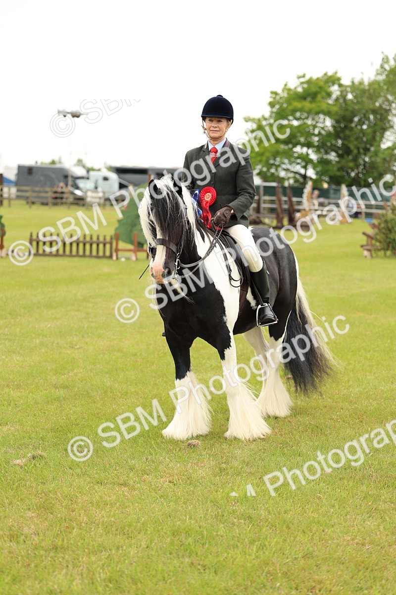 SBM_06330 - Class 39-41 TGCA In Hand and Ridden