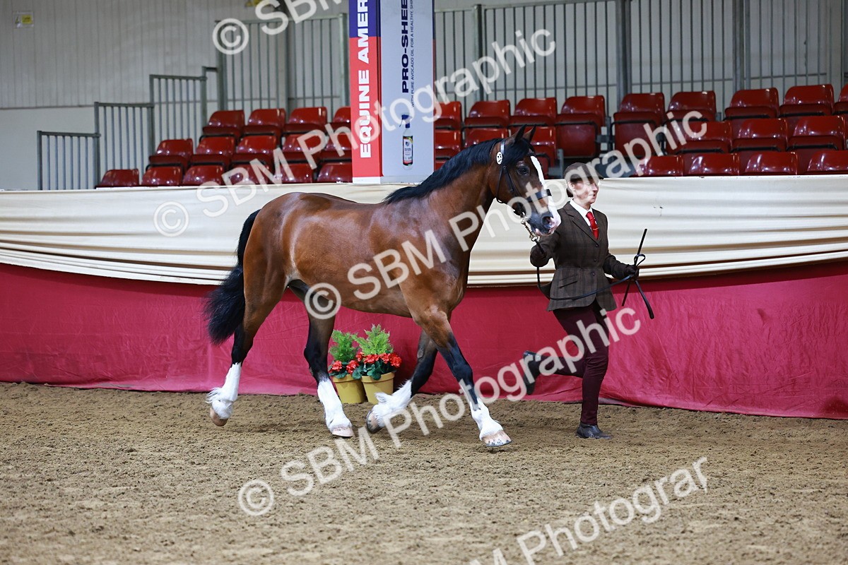 SBM_22136 - Class 902 - Supreme Final - IH Diamond