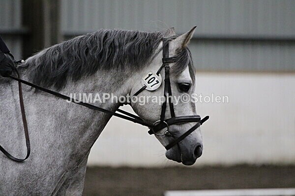 SIAL4060 - CAbin Dressage 5th july 2025