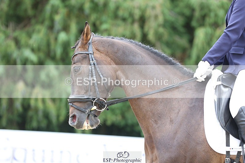 230813-150315-07947 - Cls 11 Elem Bronze 14.30 to End