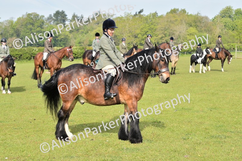 20260426-0891 - Class 18 - Novice Showing