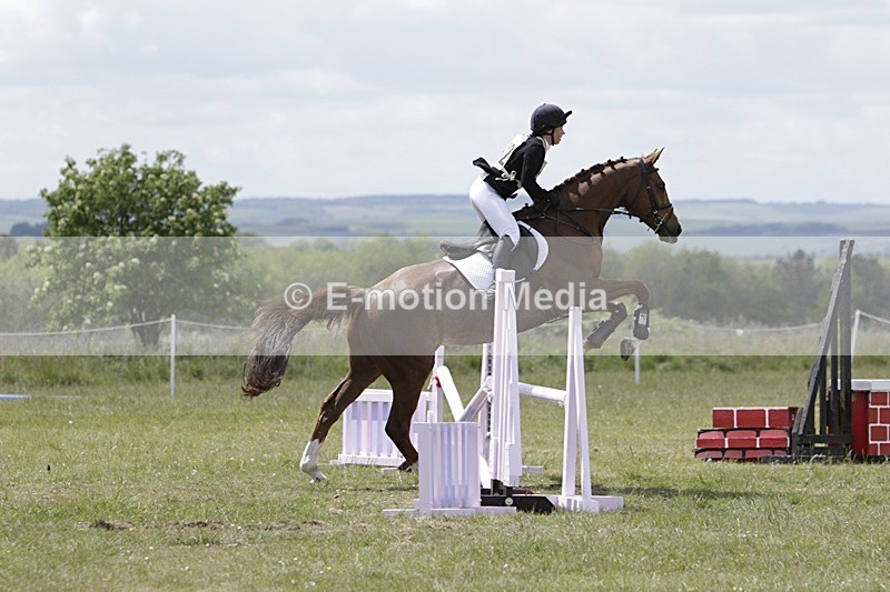 BVHT 140517 N-252 - Class 2 SJ Novice 14/05/17