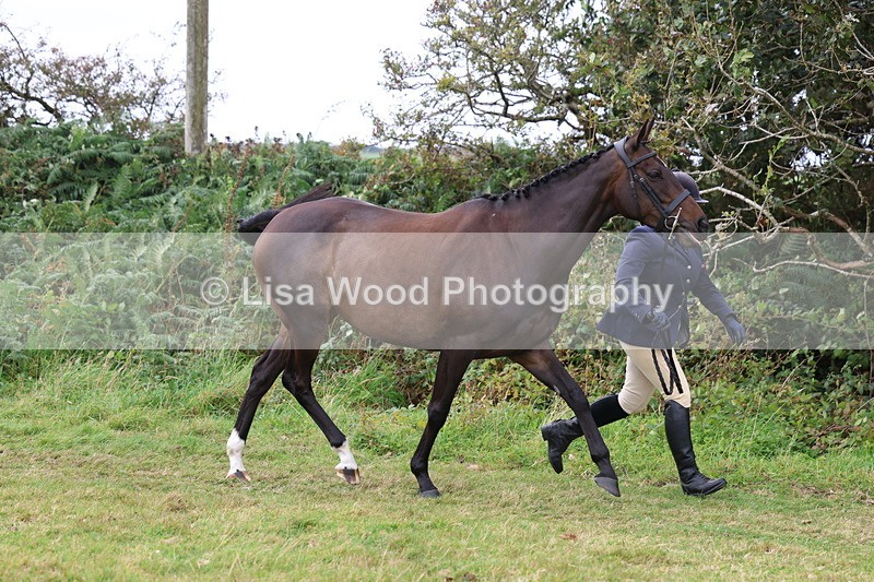 3E7A4576 - Class 16: Best Grass Kept