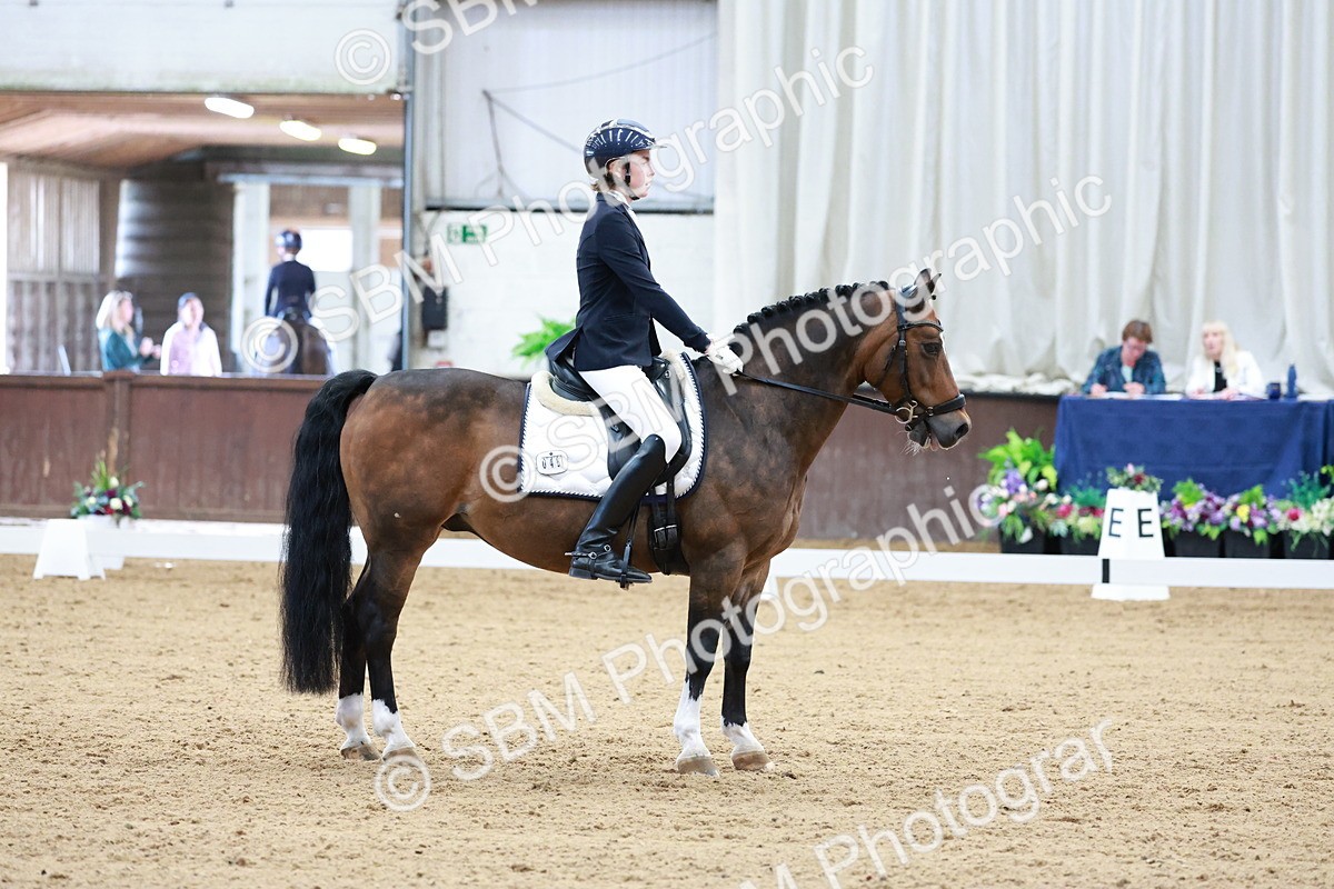 SBM_017130 - Class15 - FEI Pony