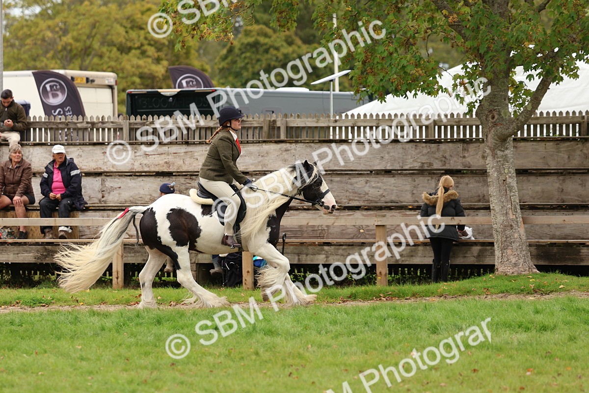 SBM_64637 - S58 - Coloured Pony Ridden