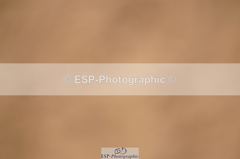 240317A-133136-06753 - Cls 27 Chard Grand Prix