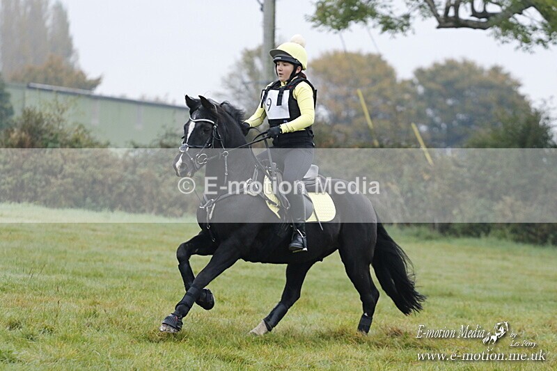 WWHT 181020 WWHT 181020 023 - WWEC Novice Restricted (0.80m) 18/10/20