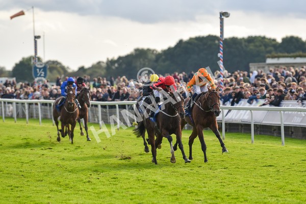 141023-Race 4-Colorada Dancer-1177 - Race 4 3.05pm Coral Racing Club EBF Maiden Stakes