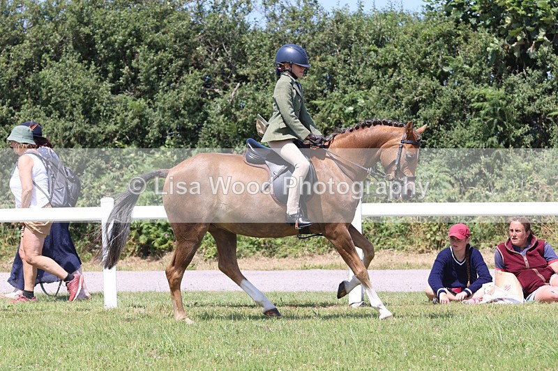 JPP_2731 - Class 21: Working Hunter 60cm
