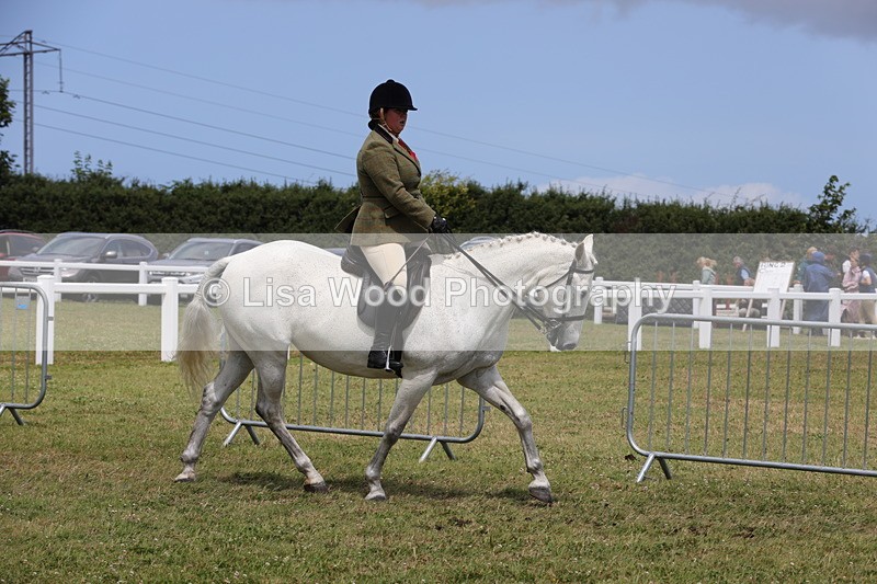 1X9A4395 - Class 34: Veteran Ridden