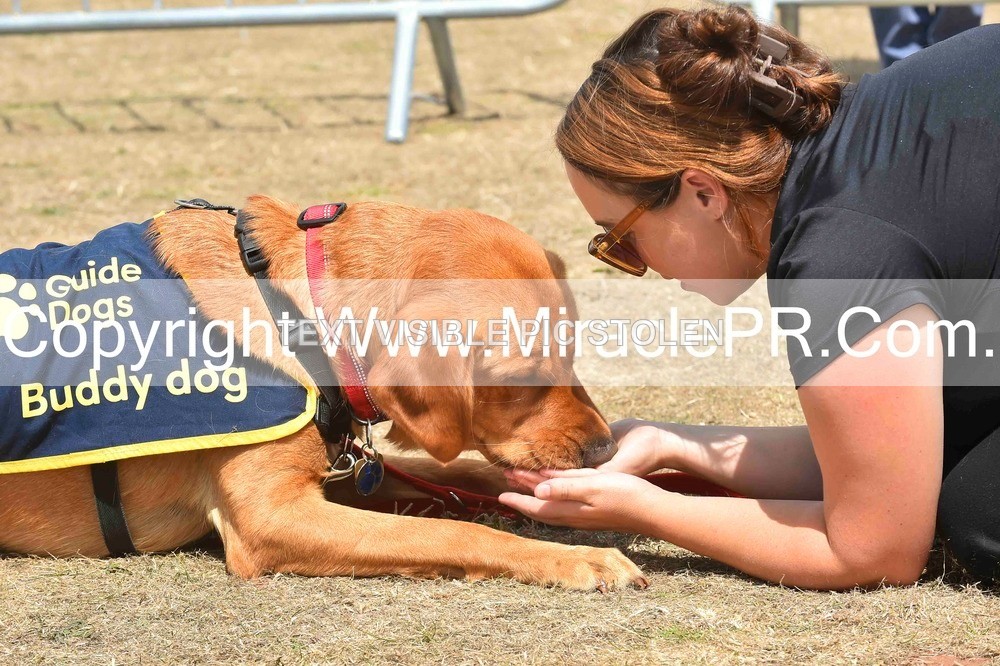 SH4_0244 - Dog show.