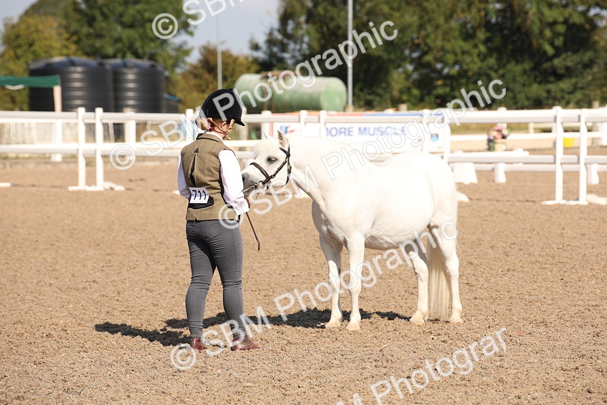 SBM_02716 - Class 16 IH M&M Wildcard