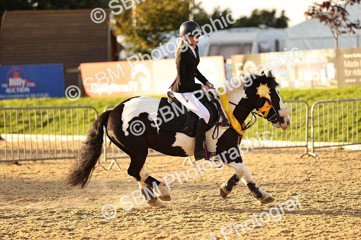 SBM_56149 - J10 - Junior Pony 75cm Championship
