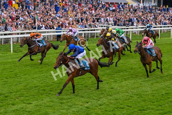 250524-Race 5-Burdett-3967 - Race 5 3.55pm William Hill Epic Boost Handicap