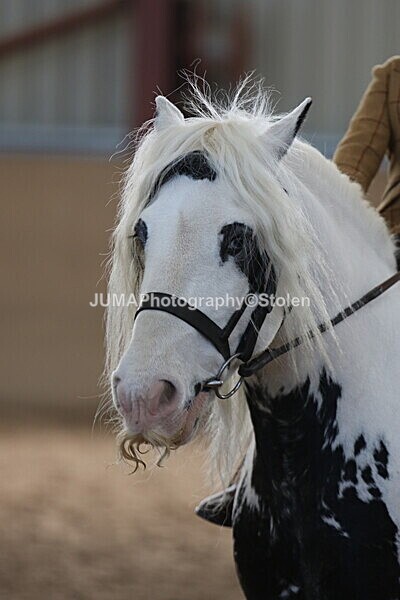 SIAL0902 - Indoor Classes