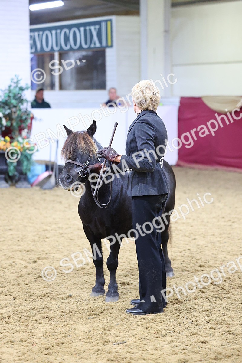 SBM_19714 - Class 901 - Supreme Final - IH Diamond