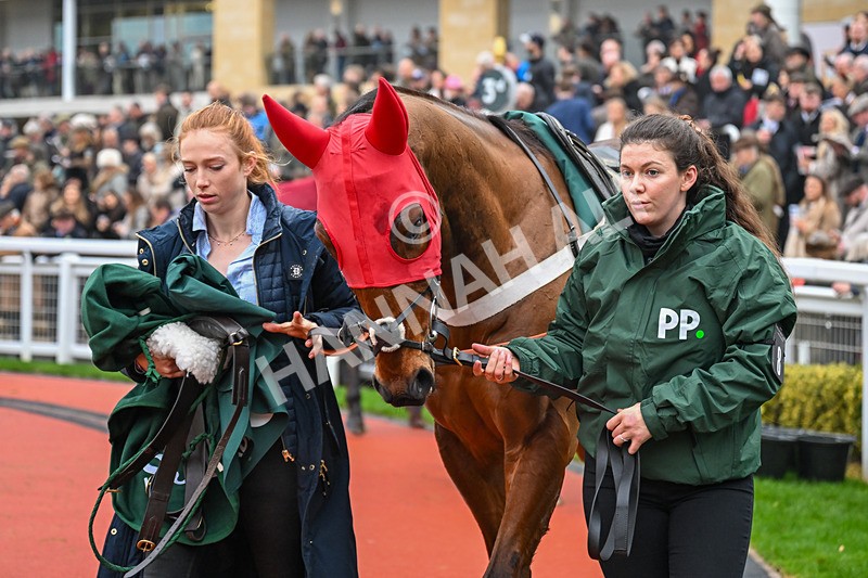 151125-Race 4-Vincenzo-3203 - Race 4